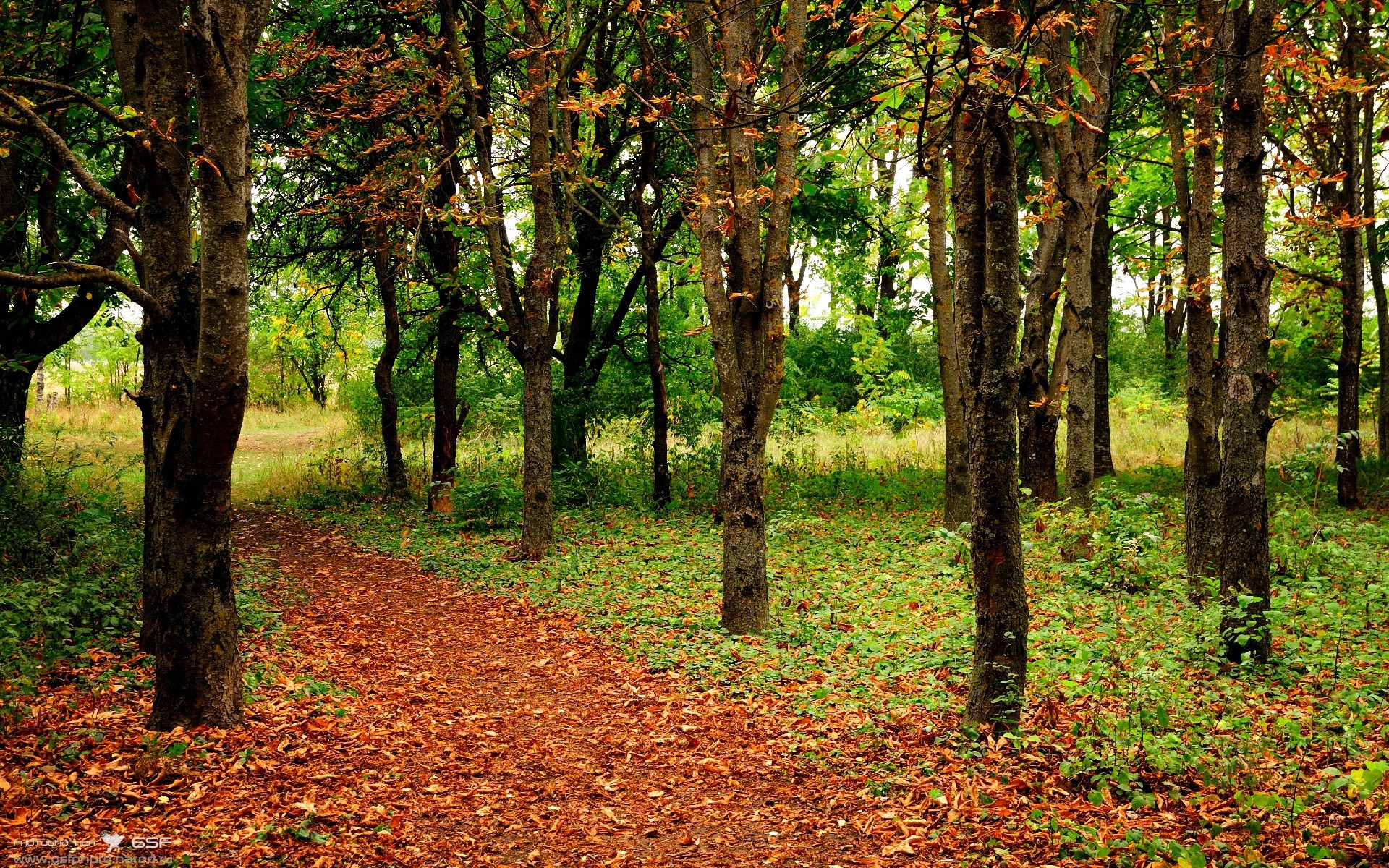 火箭战术体系如精密棋盘,布克化身执剑者刺穿爵士心脏