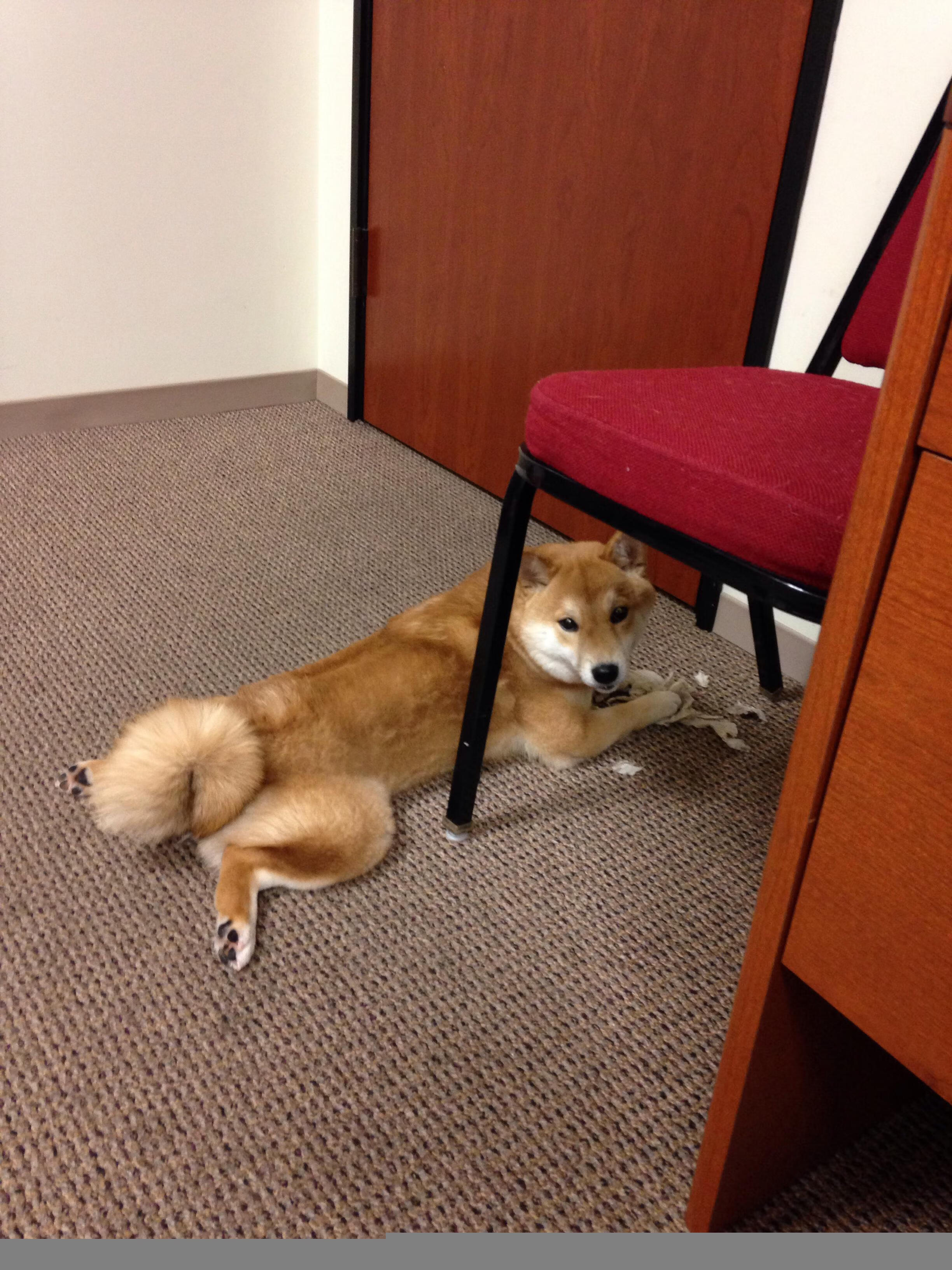 三分淬火,英格拉姆末节封神,国王客场熔断热火