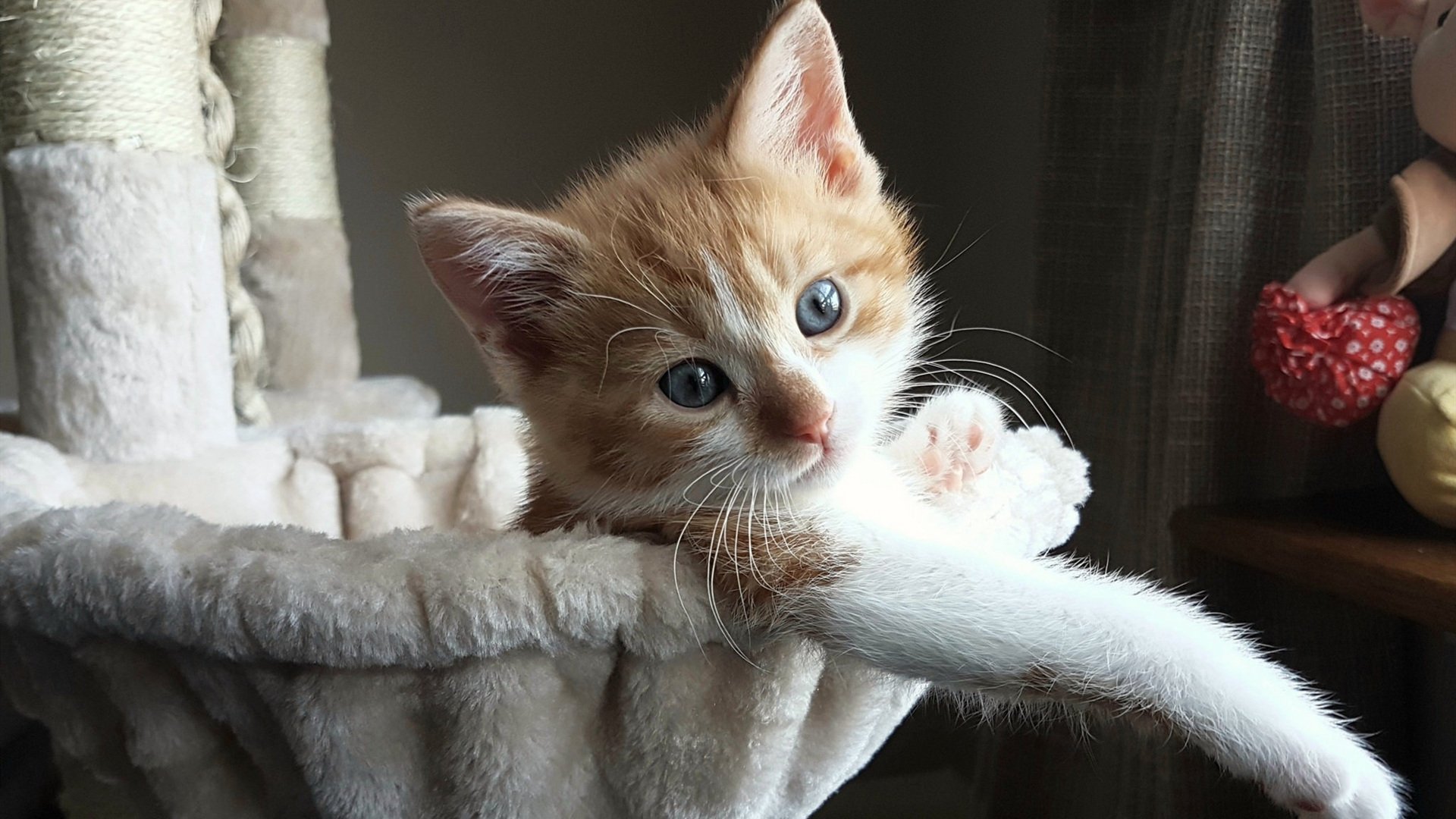 塞维利亚冲垮里昂,皮克的全场统治秀,一场战术与意志的碾压