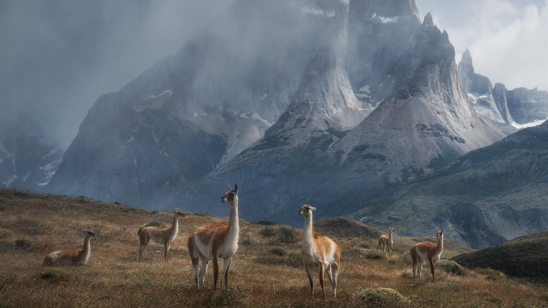 唯一性双星,葡萄牙决胜突尼斯之荣耀,马丁内利英超接管之战神