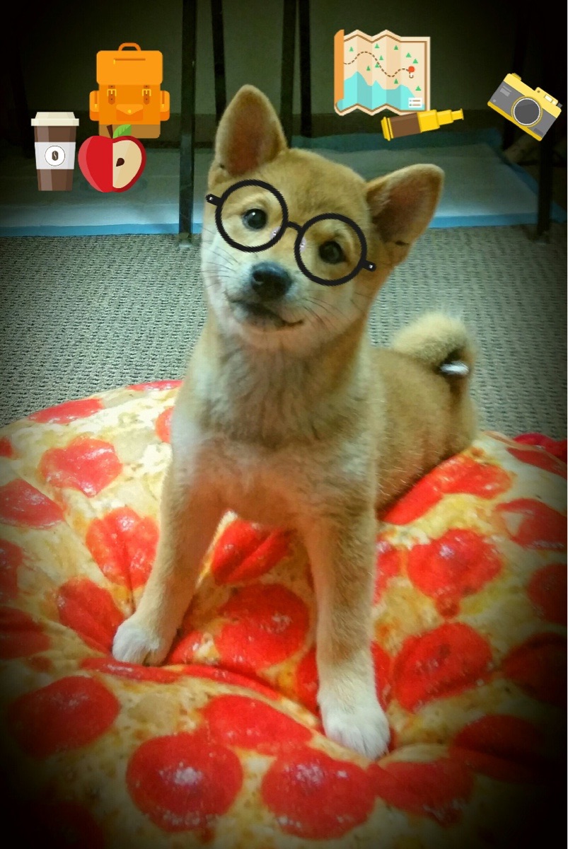 雷霆之矛刺破红色风城，浓眉致命一击定下乾坤