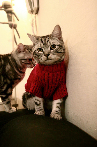 震耳欲聋的回敬，当质疑声最大时，哈登用一场非典型胜利为自己加冕