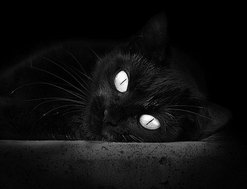 双城记，从NBA抢七到曼联的沙特突围，奇迹的夜与不屈的心