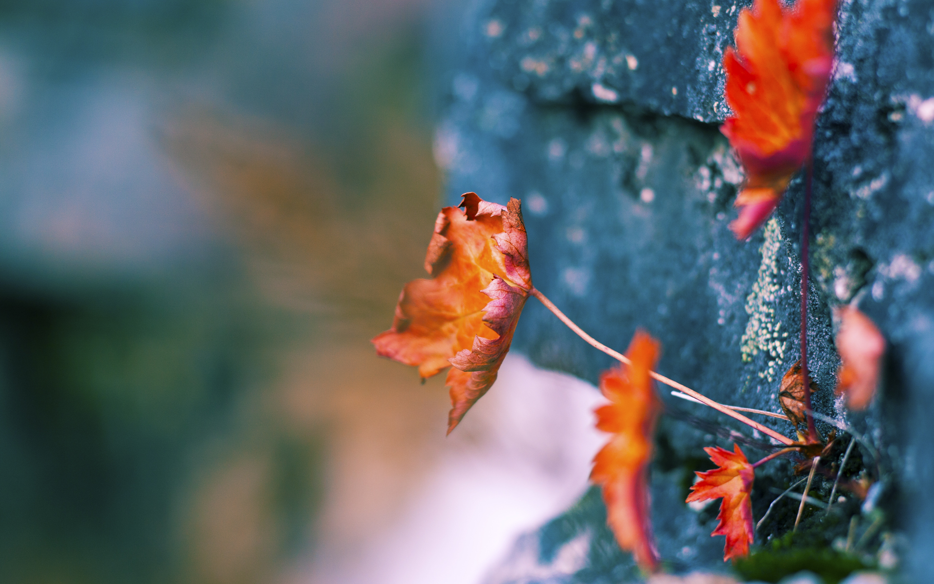 足球场上的NBA之夜，佩德里冠军级表现的隐喻