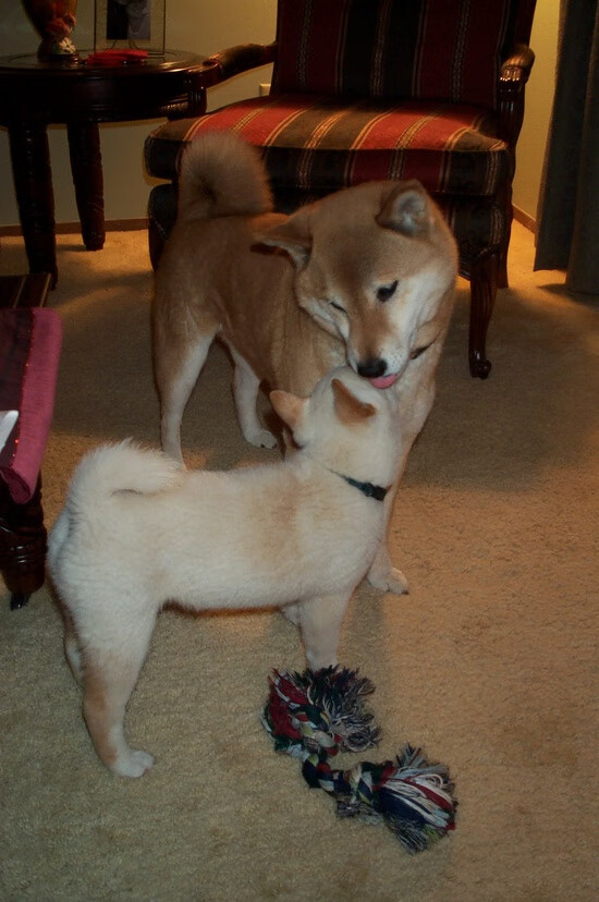 哈弗茨化身风暴眼，英格兰战术熔炉彻底溶解韩国铁壁