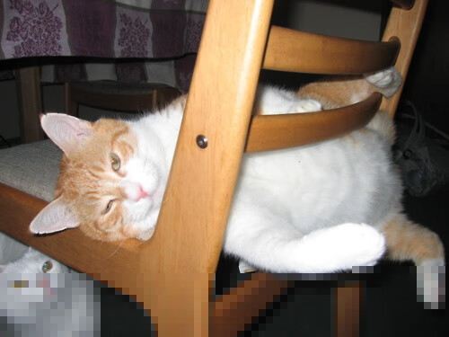 绿茵双城记，当莫德里奇在伯纳乌传球时，克罗地亚正击碎爱尔兰的梦