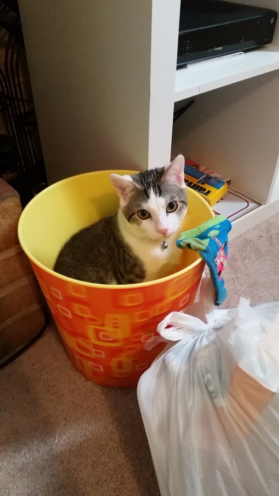 当锈链缠上钢骨，富安健洋以一己之力撑起安哥拉的稳稳拿下