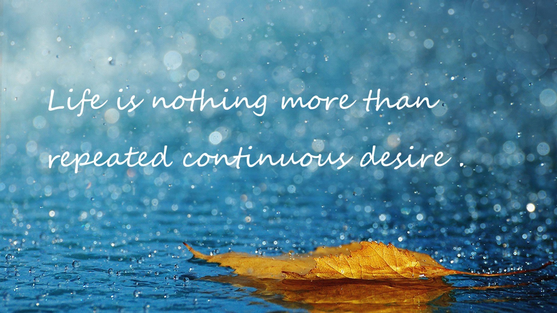 铁翼封锁与孤影刺穿，当雄鹿深陷防守牢笼，福克斯以利齿咬碎命运