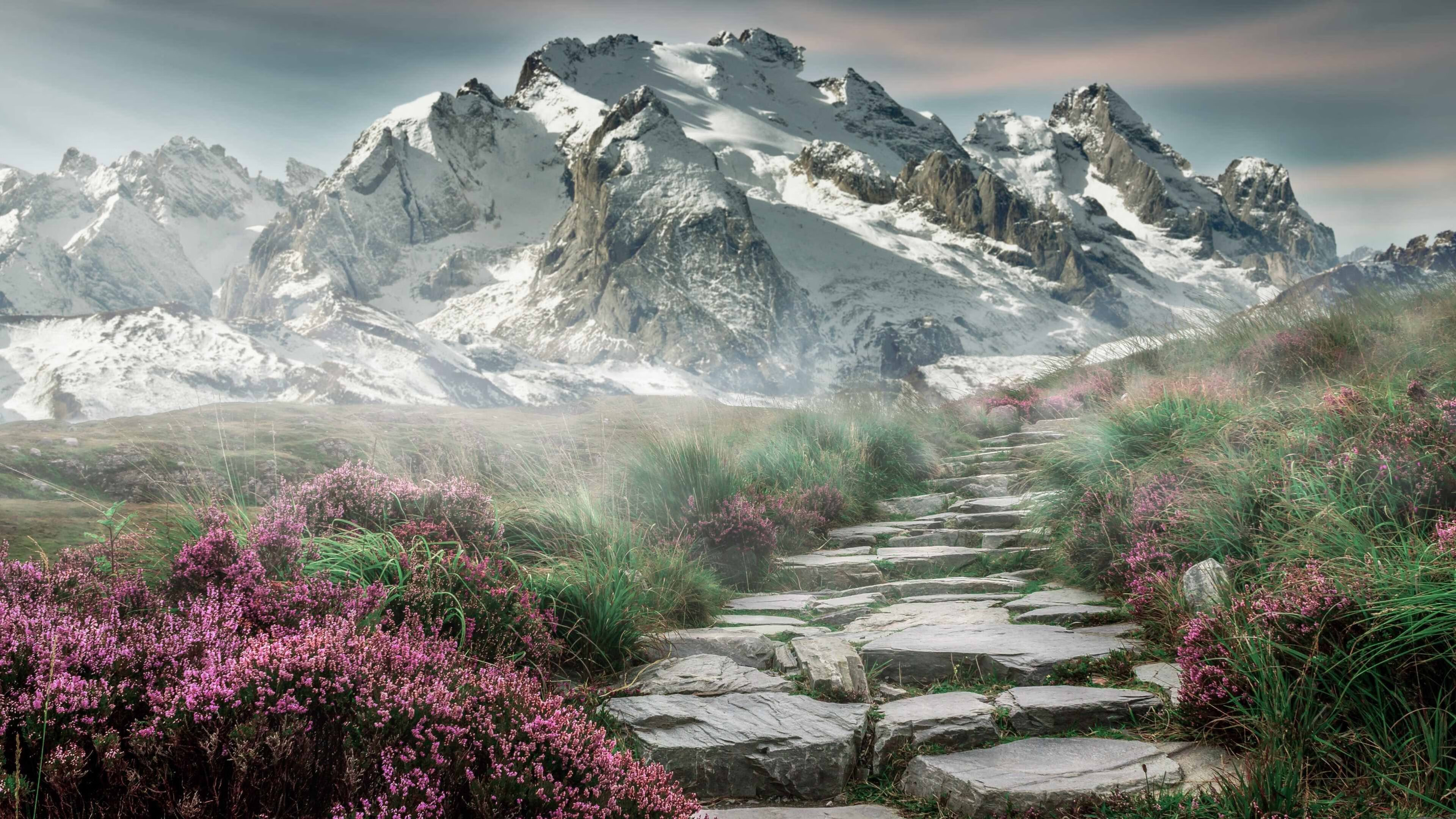 指挥家东契奇,他用一场交响乐,让马刺听见新时代的轰鸣