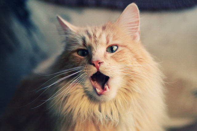 西决生死战之夜，拉梅洛的独舞改写命运轨迹