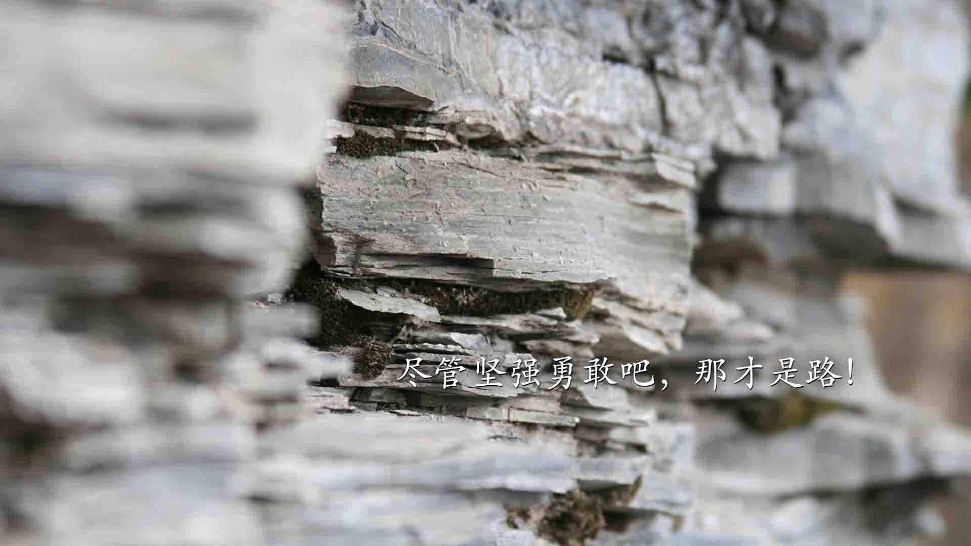 绝杀之夜的命运结晶，萨卡的致命一击与智利足球的复兴密码