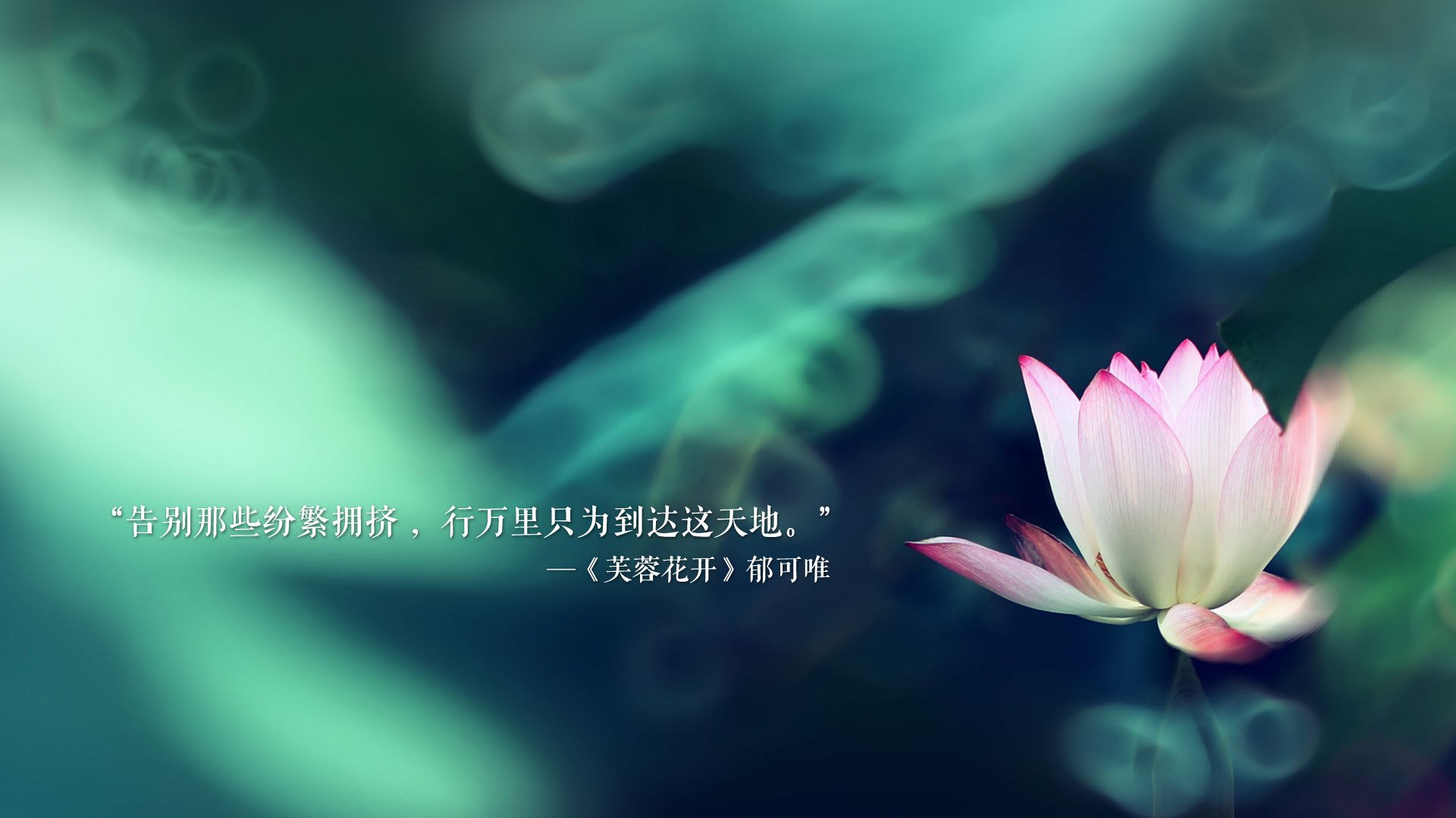 孤星与战车的碰撞，迪亚斯如何用一记不完美的进球，为澳大利亚书写2026世界杯的新物种宣言