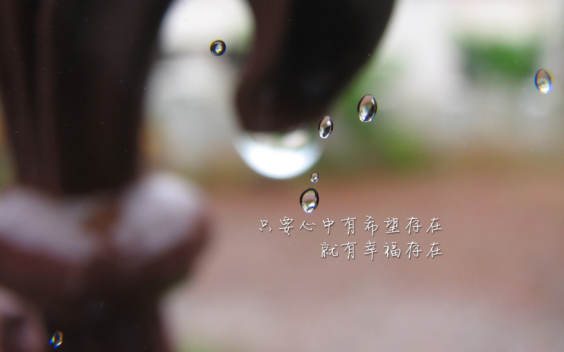 沙漠之狐的咆哮，2026世界杯C组唯一神迹，突尼斯如何用非典型碾压改写历史，卢卡库化身禁区之王